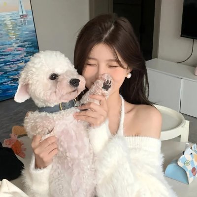 轮廓中的真相